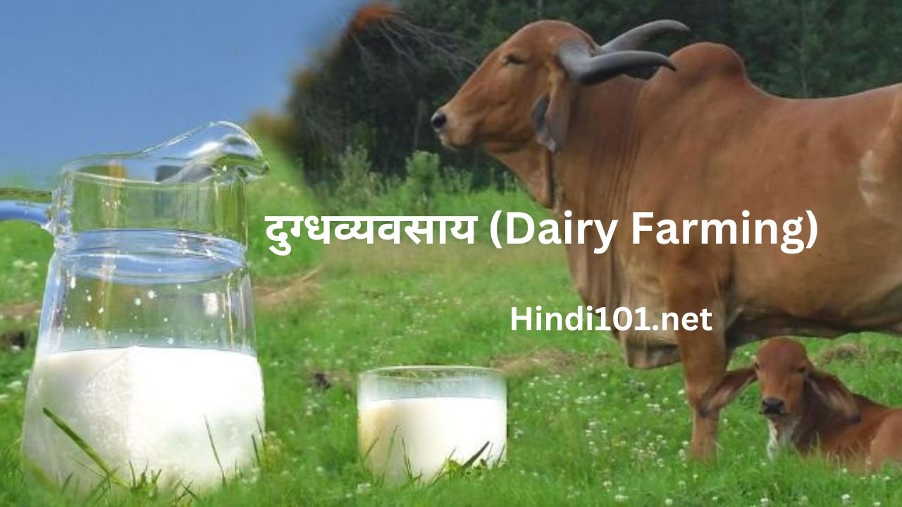 दुग्धव्यवसाय (Dairy Farming)