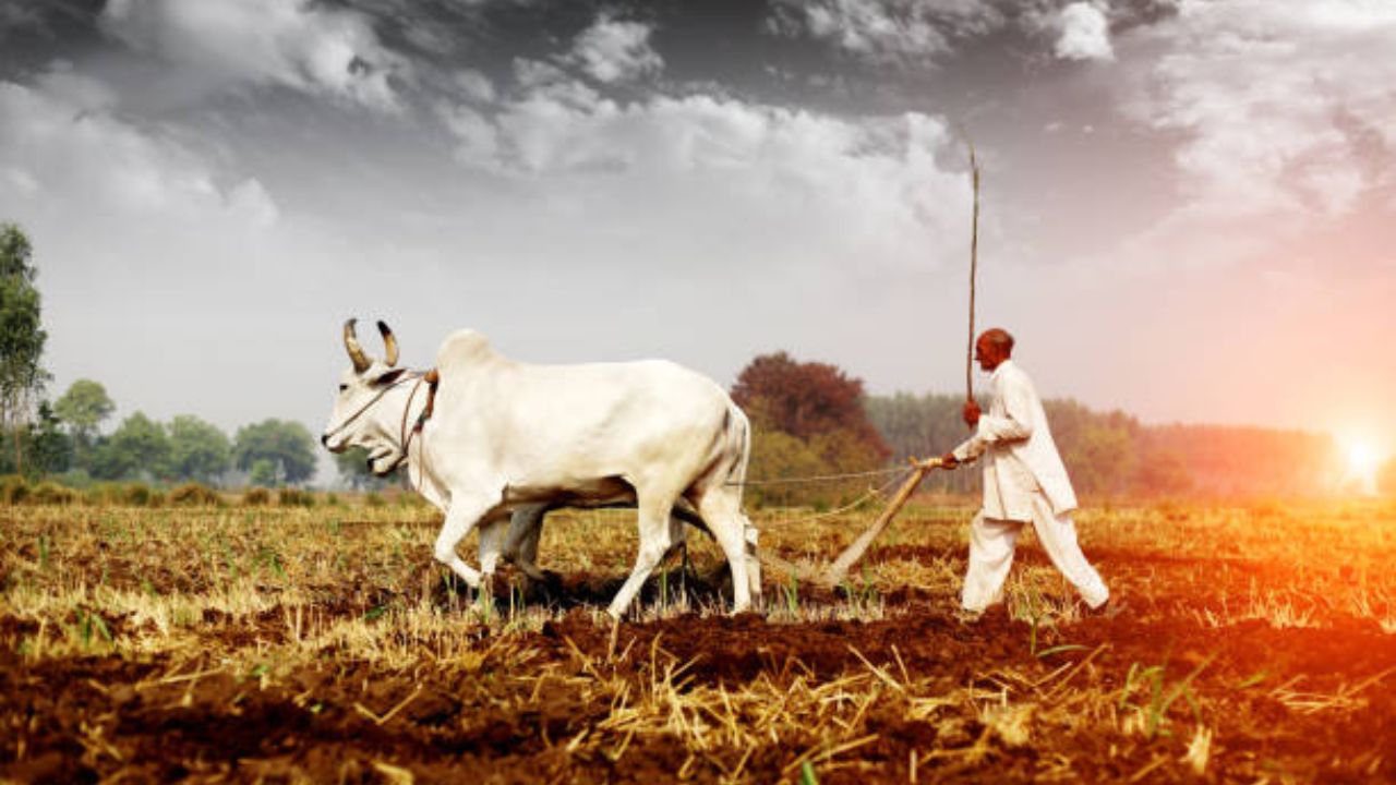 देव आणि शेतकरी god-and-farmer ________(बोधकथा)