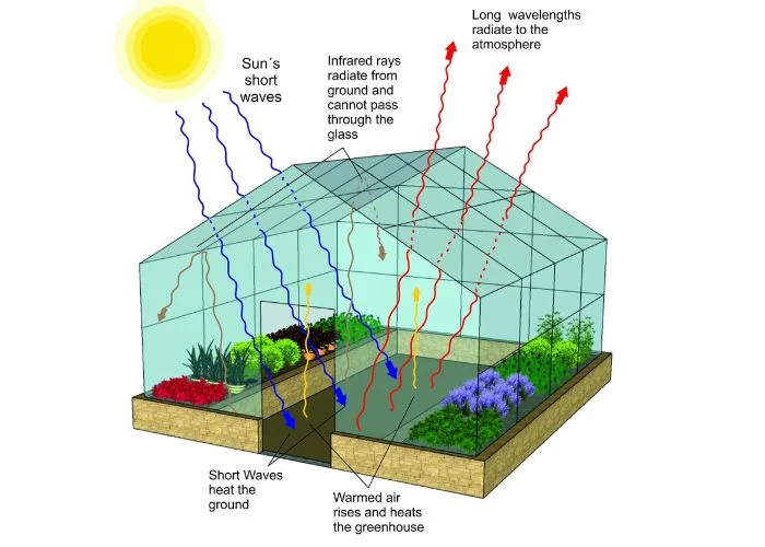 Greenhouse / ग्रीनहाऊस 