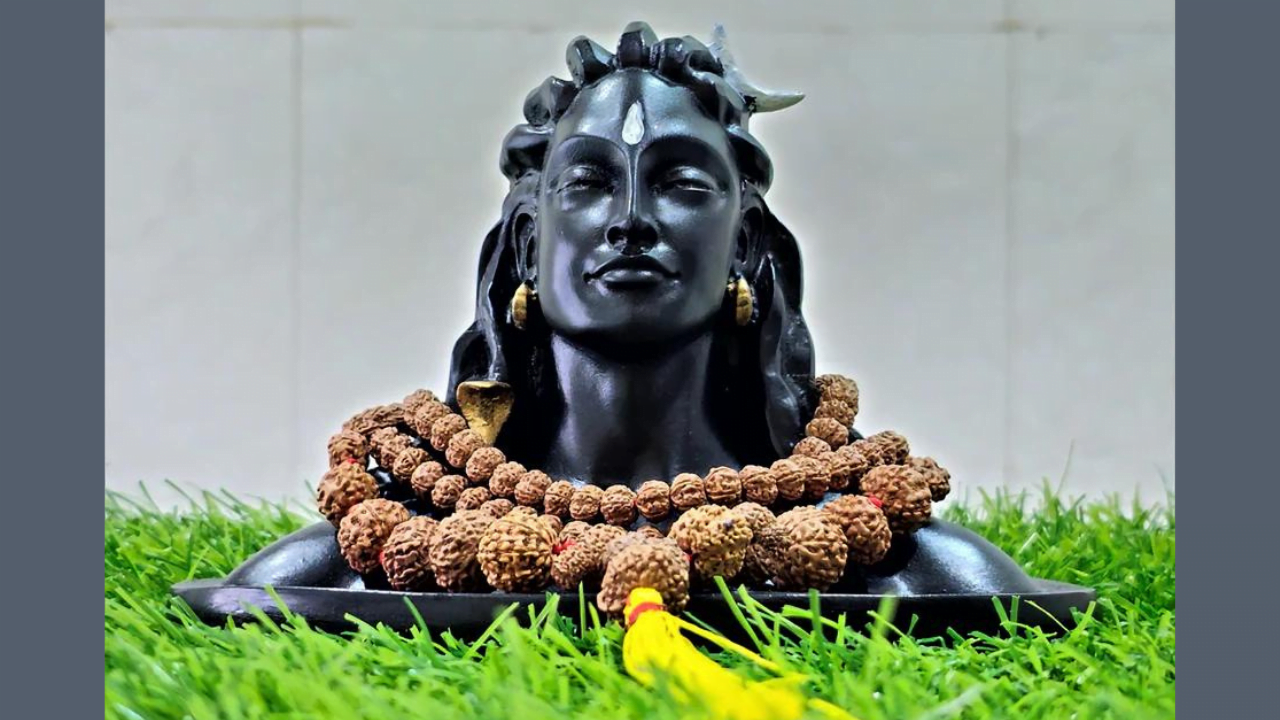 हिंदू धर्मात रुद्राक्षाचे महत्व काय आहे ? (What is the importance of Rudraksha in Hinduism?)