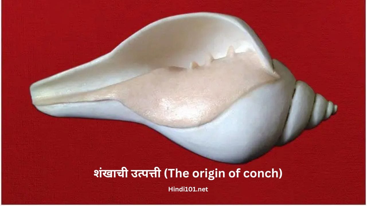 शंखाची उत्पत्ती (The origin of conch)